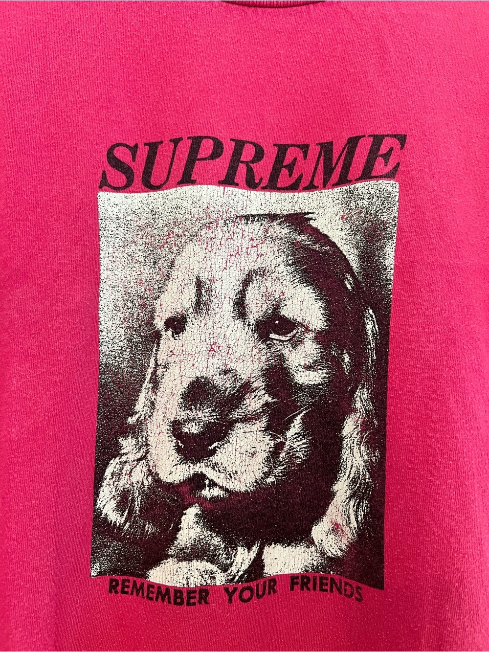 Supreme Dark Pink “Remember Your Friends” Dog Tee - Picture 2 of 4